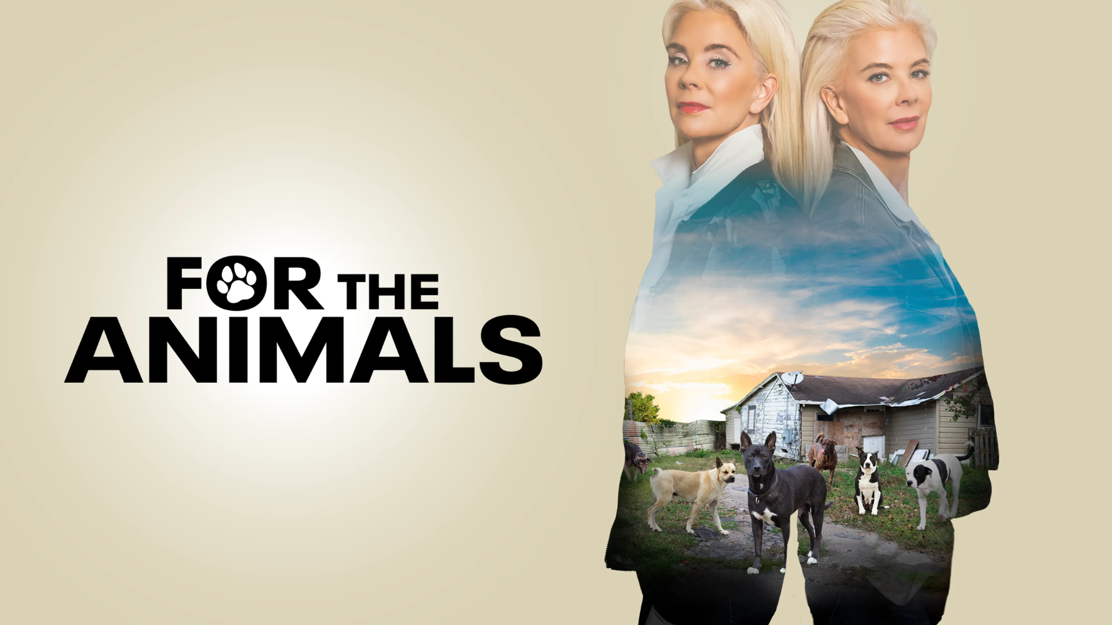 For the Animals poster